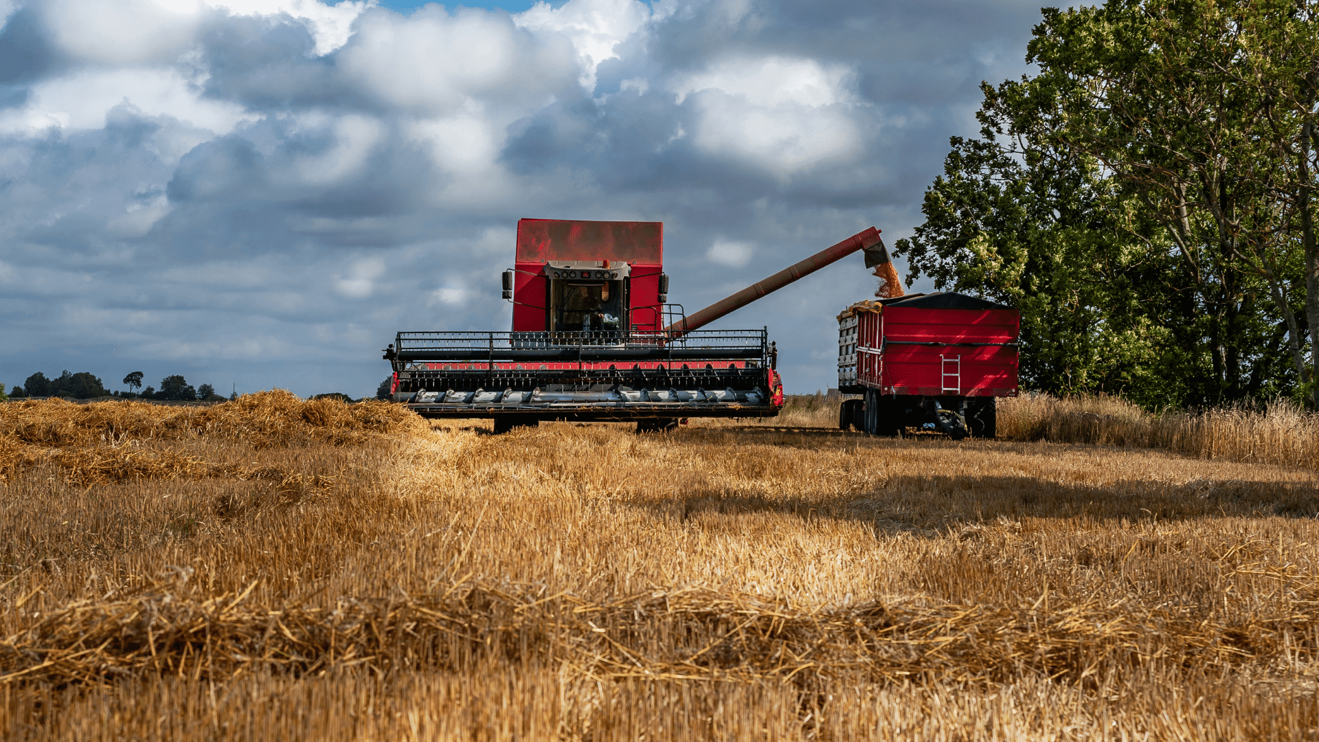 combines in field