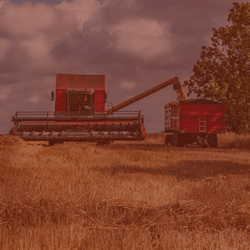 combines in field